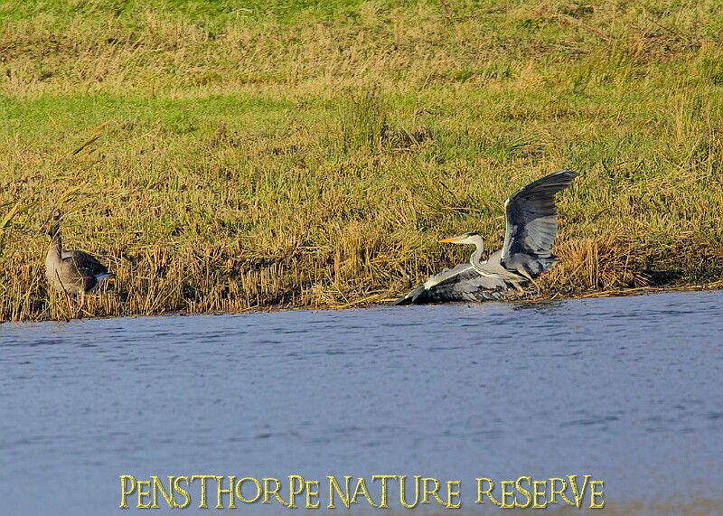 2025-12-11PENSDECB00217A.JPG