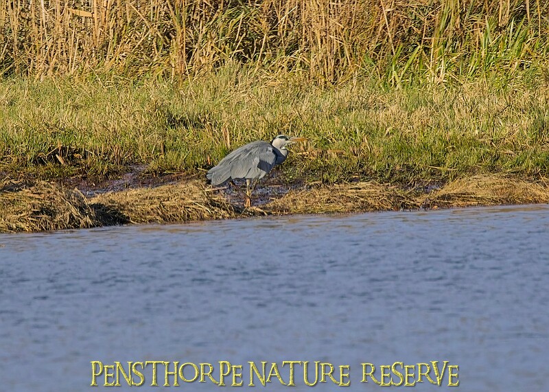 2025-12-11PENSDECB00236A.JPG