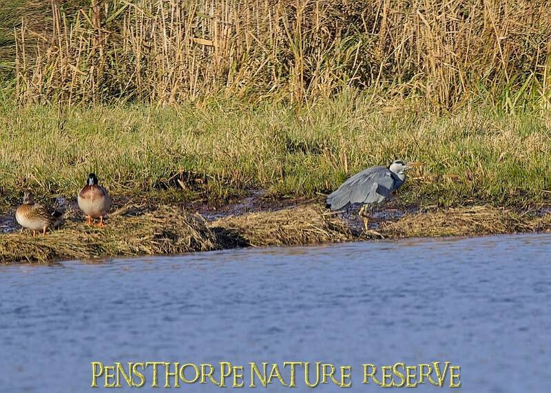 2025-12-11PENSDECB00237A.JPG