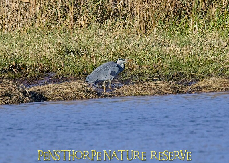 2025-12-11PENSDECB00238A.JPG