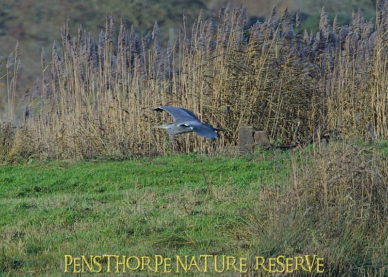 2025-12-11PENSDECB00249A.JPG