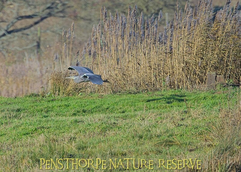 2025-12-11PENSDECB00251A.JPG