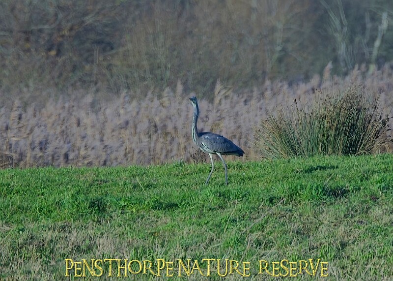 2025-12-11PENSDECB00271A.JPG