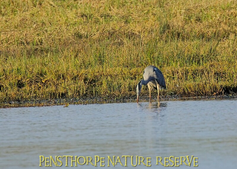 2025-12-11PENSDECB00285A.JPG