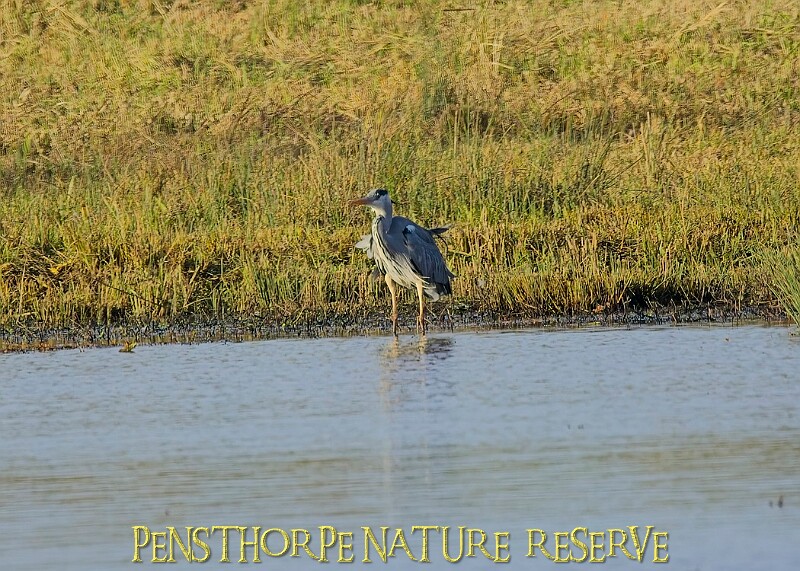 2025-12-11PENSDECB00287A.JPG