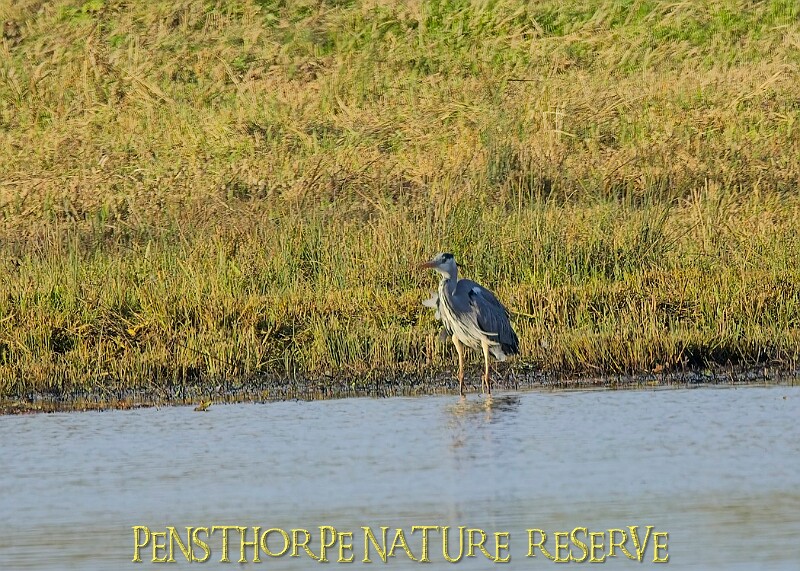 2025-12-11PENSDECB00288A.JPG