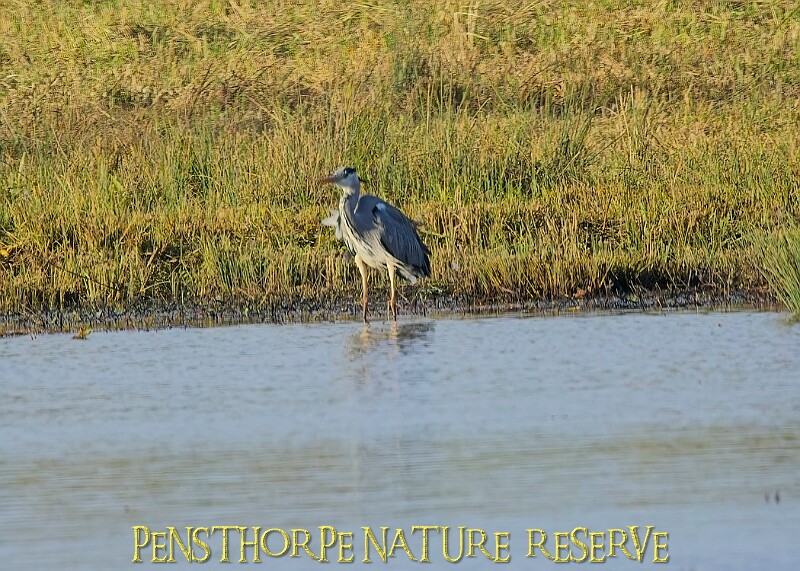 2025-12-11PENSDECB00289A.JPG