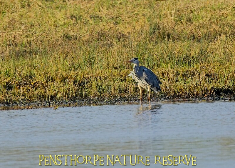 2025-12-11PENSDECB00290A.JPG