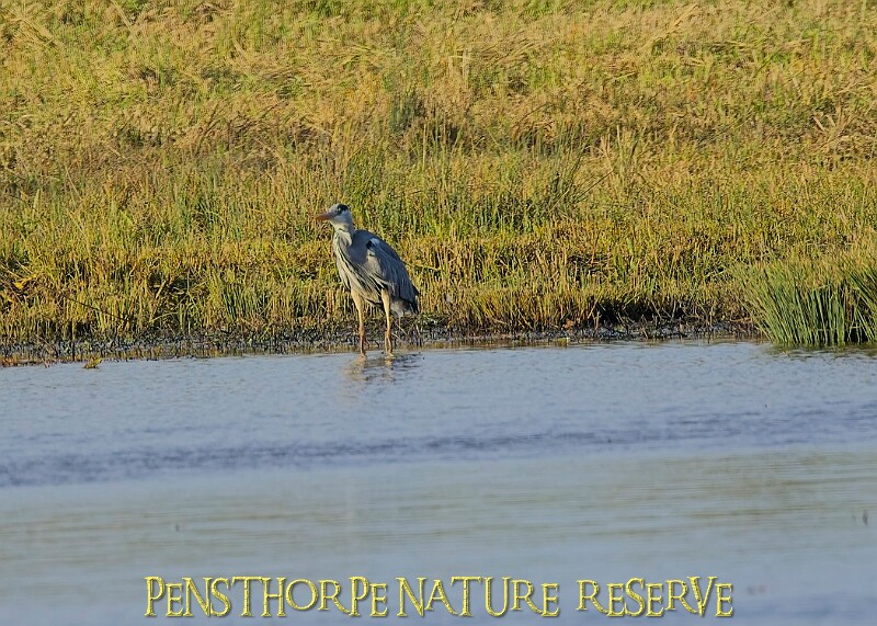 2025-12-11PENSDECB00292A.JPG