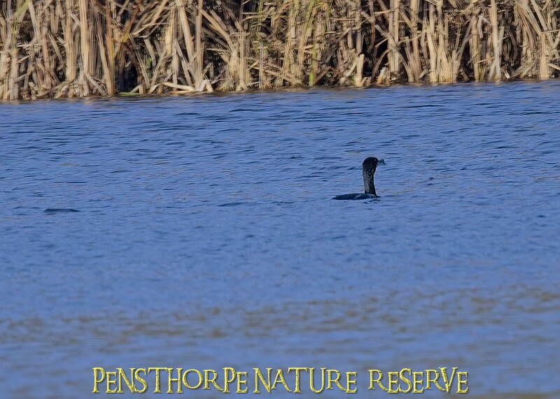 2025-12-11PENSDECB00293A.JPG