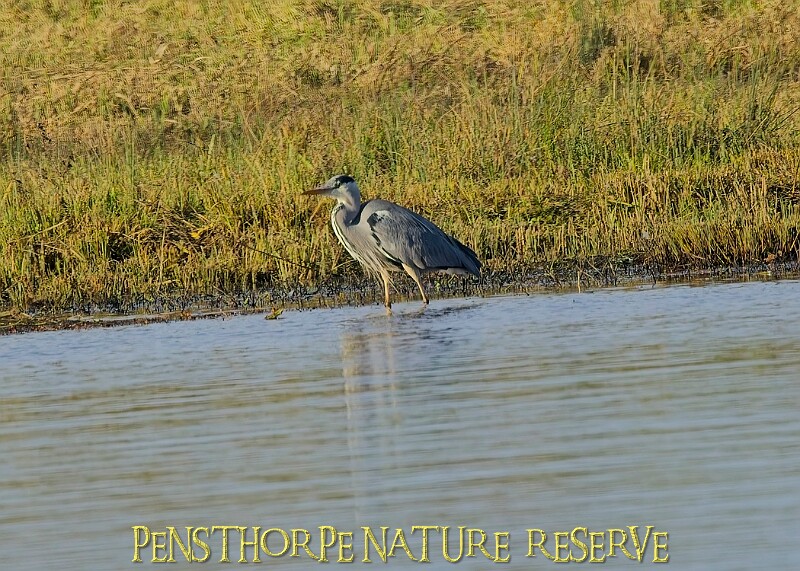 2025-12-11PENSDECB00296A.JPG