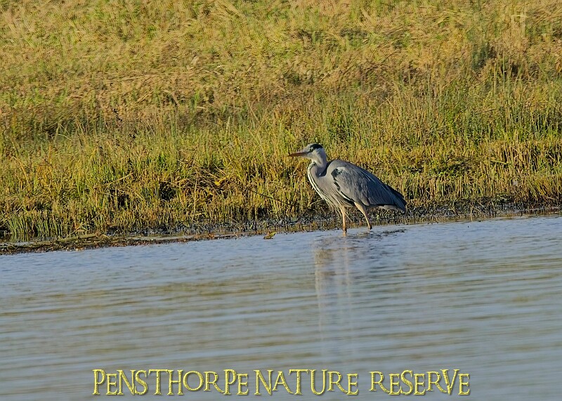 2025-12-11PENSDECB00297A.JPG