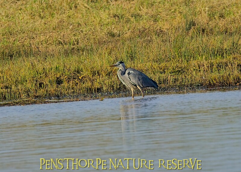 2025-12-11PENSDECB00299A.JPG