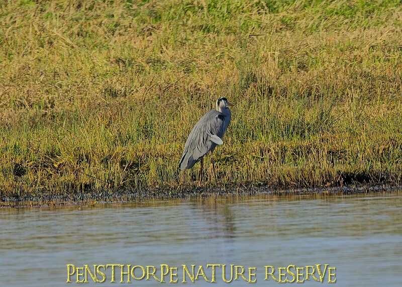 2025-12-11PENSDECB00307A.JPG
