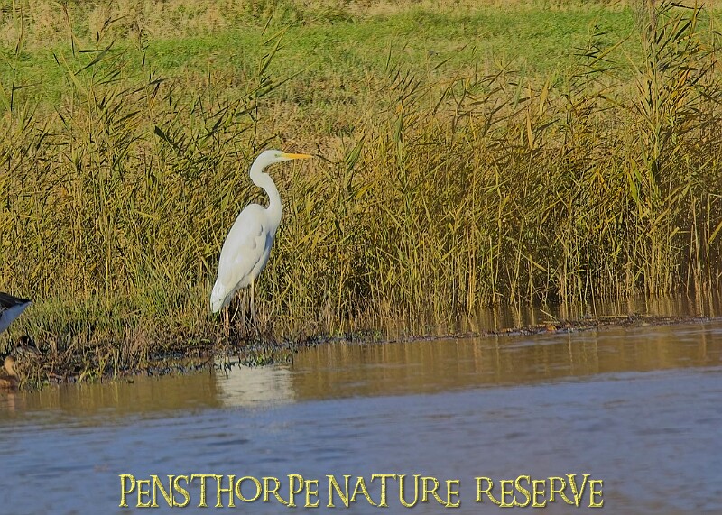 2025-12-11PENSDECB00313A.JPG