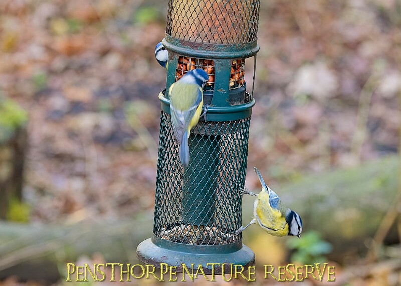 2025-12-11PENSDECB00324A.JPG