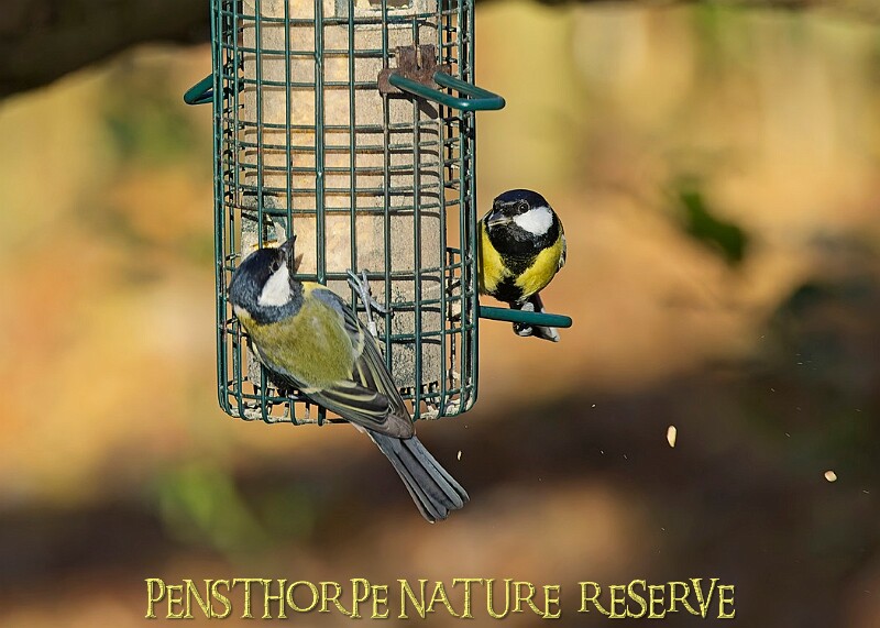 2025-12-11PENSDECB00353A.JPG