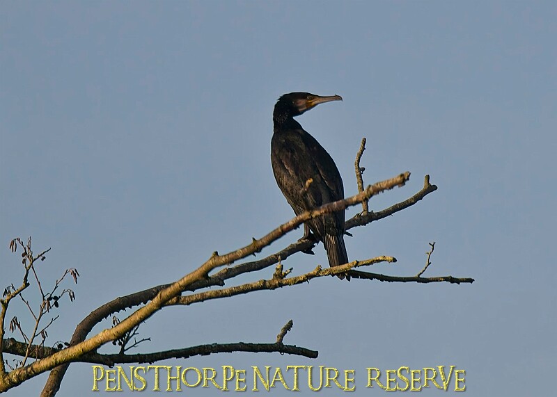 2025-12-11PENSDECB00366A.JPG