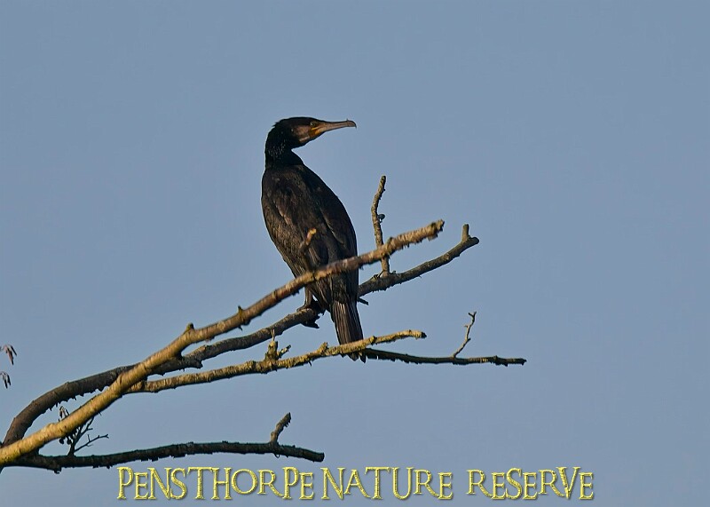2025-12-11PENSDECB00367A.JPG