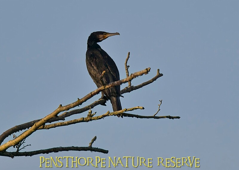 2025-12-11PENSDECB00368A.JPG