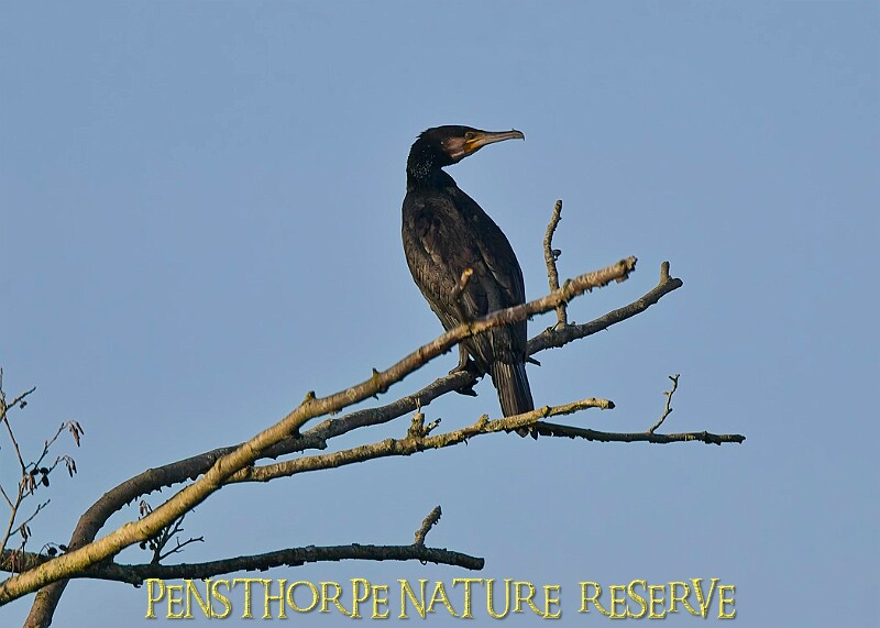 2025-12-11PENSDECB00370A.JPG