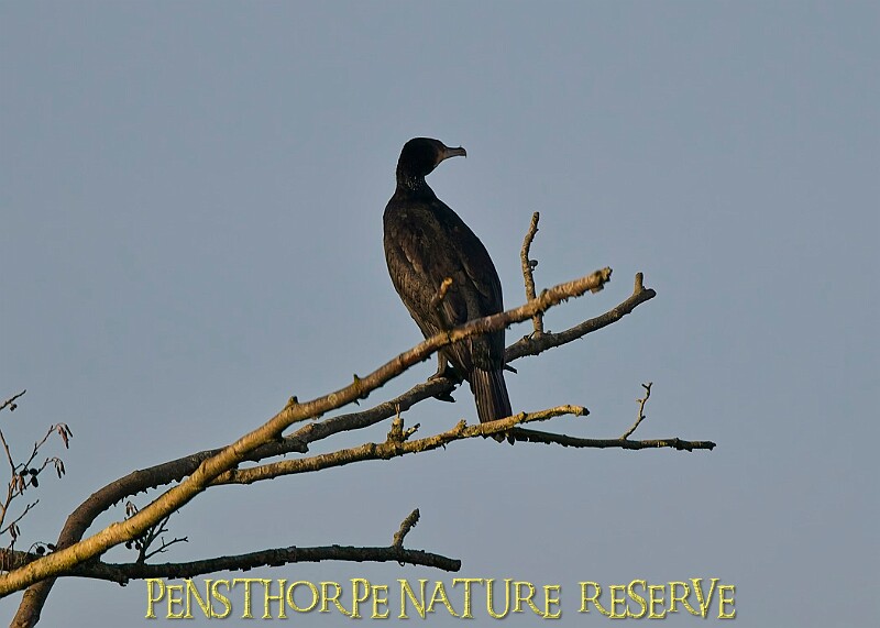 2025-12-11PENSDECB00372A.JPG