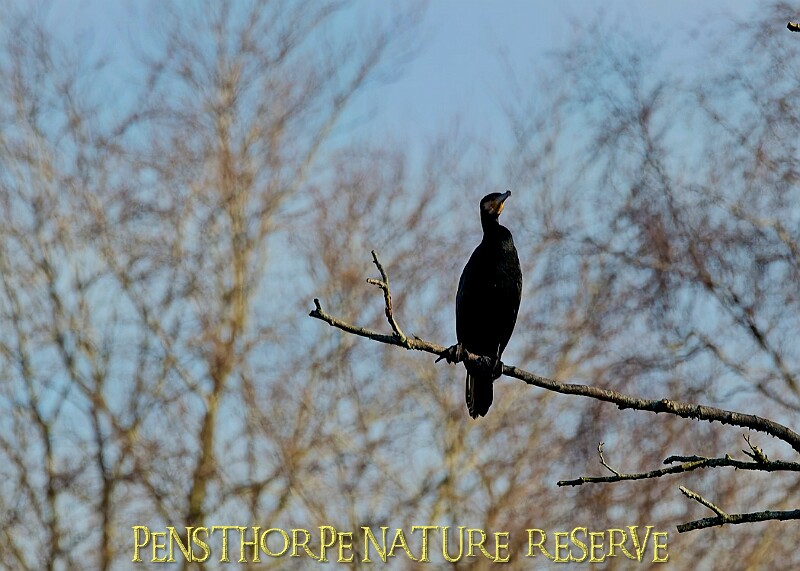 2025-12-11PENSDECB00378A.JPG