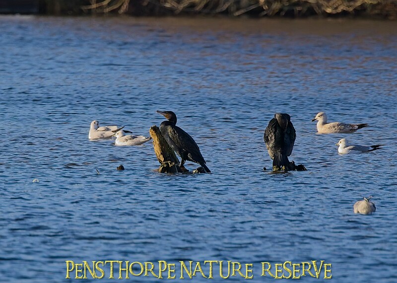 2025-12-11PENSDECB00387A.JPG