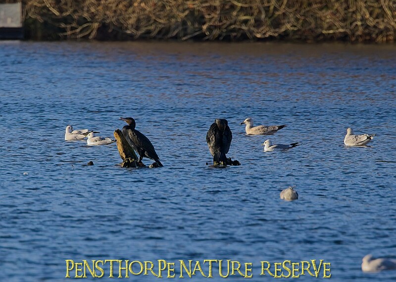 2025-12-11PENSDECB00389A.JPG