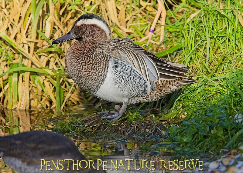 2025-12-11PENSDECB00432A.JPG