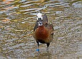 2025-12-11PENSDECB00018A