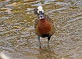 2025-12-11PENSDECB00019A