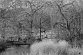 2025-12-11PENSDECB00020A