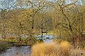 2025-12-11PENSDECB00021A