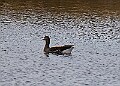 2025-12-11PENSDECB00032A
