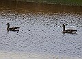 2025-12-11PENSDECB00033A