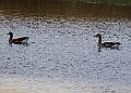 2025-12-11PENSDECB00034A