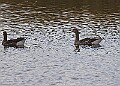 2025-12-11PENSDECB00036A