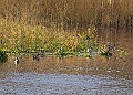 2025-12-11PENSDECB00042A