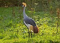 2025-12-11PENSDECB00050A