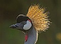 2025-12-11PENSDECB00054A
