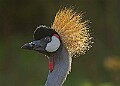 2025-12-11PENSDECB00055A