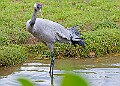 2025-12-11PENSDECB00057A