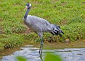 2025-12-11PENSDECB00058A