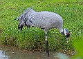 2025-12-11PENSDECB00061A