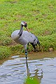 2025-12-11PENSDECB00065A