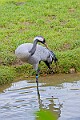 2025-12-11PENSDECB00067A