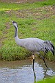 2025-12-11PENSDECB00068A
