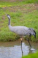 2025-12-11PENSDECB00069A