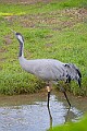 2025-12-11PENSDECB00070A